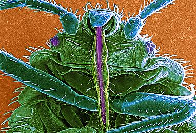 2D动作类格斗游戏《觉醒者》Steam页面上线 11月发售